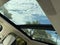 2023 Lincoln Navigator Black Label
