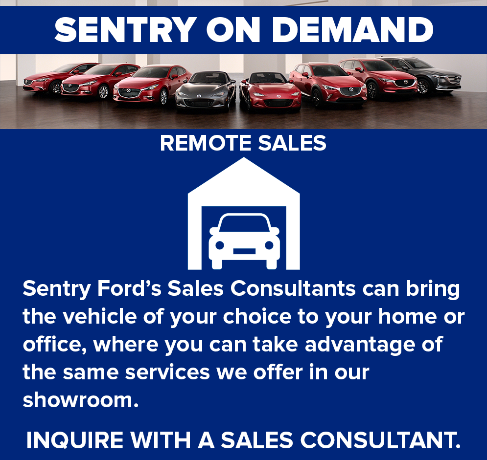 Sentry On Demand